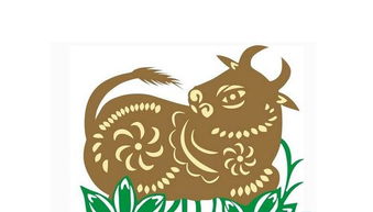 生肖牛的号码是多少，具体指的是哪一年的牛年？
