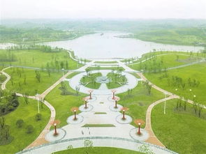 路线一：冬季“候鸟狂想曲”——适合“摄影党”和“自然控”