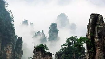 小插曲：意外的噪音