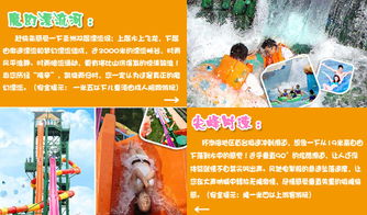 2. 中午—吃饭又喝咖啡