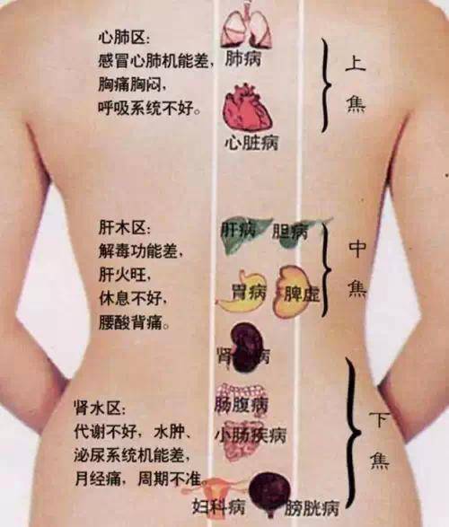 二点一：风险因素不是单向的啊！