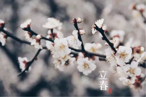 2026年立春缺失，那在这一年结婚立春日怎么办？