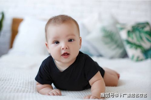 虎年宝宝较小名的奇思妙想——别把名字当成流水账