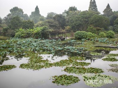 旅行指南