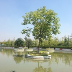 沣河生态景区：真实的能揭开西安的绿意保密吗？