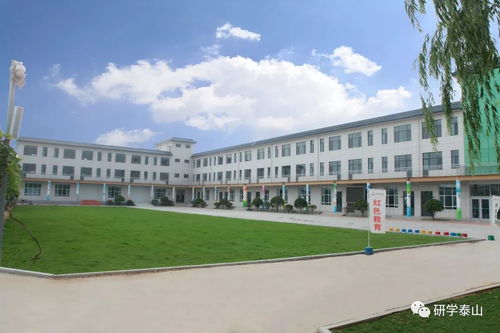 三、  专业团队与创新鲜进步