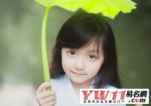 二、  三个字的名字