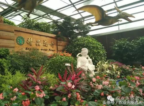 四、美食&休闲站点乱入篇（一顿饭也算攻略）