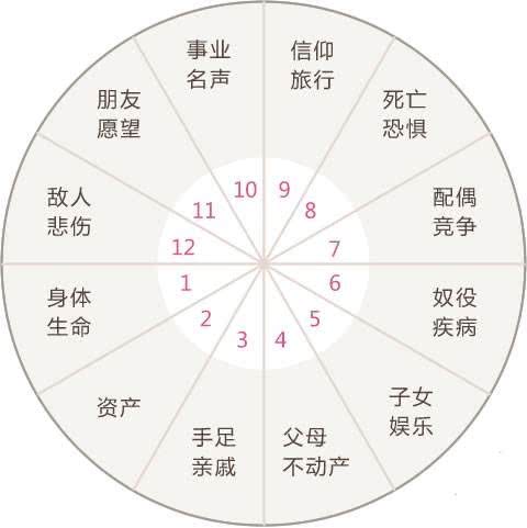 八字地支对应人的身体部位,八字中地支代表什么意思