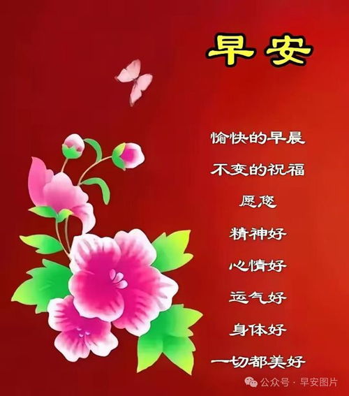 出生在这几个月的人，难道不是天生命好，贵人相伴，心想事成吗？