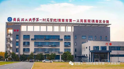 救命！我在医院捡到宝了！淮北矿务医院周边竟藏着2026年最旺桃花运的秘境？！