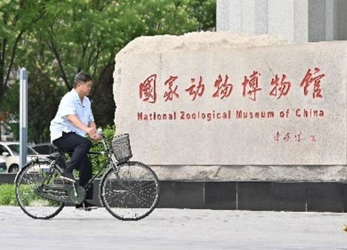 三、 历史探秘：石化的过去与现在