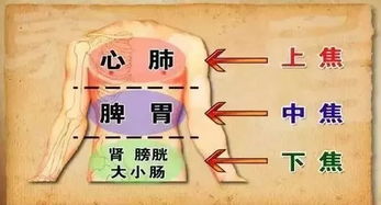 1. 艾灸时间爱咋整咋整