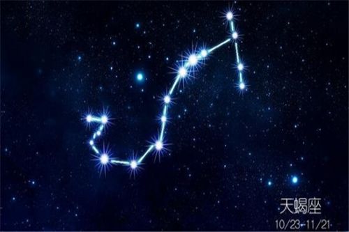 水瓶男×天蝎女：相爱相杀的虐恋剧本