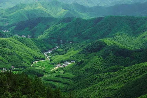 栗子坪：山清水秀的好去处