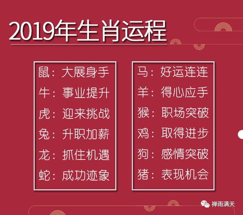 2019年十二生肖爱情运势排名具体是什么含义？