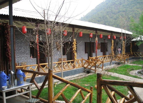 农家乐的