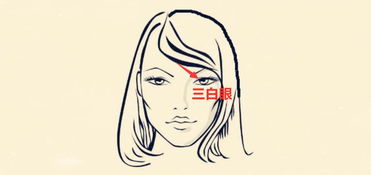 竞争如火如荼