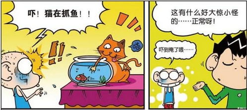 避雷指南：千万别踩坑！