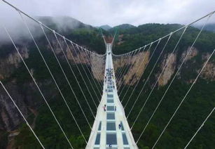 引子：一场猝不及防的告别