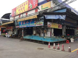 南马海鲜巨大买卖场：南马路上的“平民海鲜天堂”