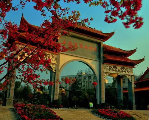 章贡五龙客家风情园，不仅仅是花