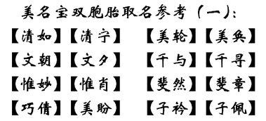 4. 王姓双胞胎：从王到皇帝，一步跨越？