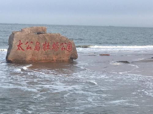 日照这座破城有啥好玩的？2026年最新避雷指南