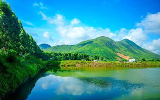 A. 从市中心出发 → 西湖 → 红花湖 → 双月湾
