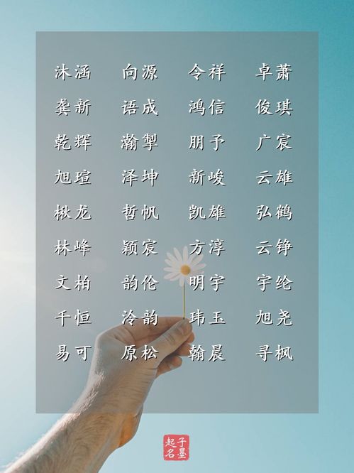 三、 这些名字保证让你家娃社会性死亡