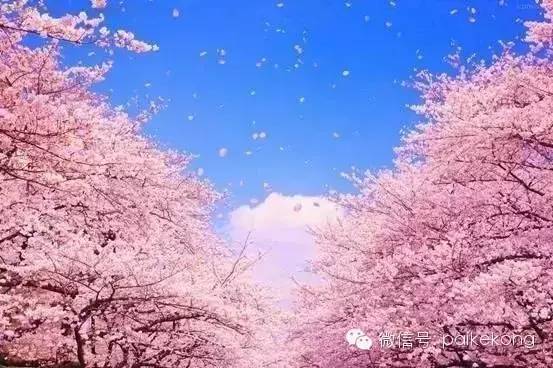 三、拍照秘诀大公开