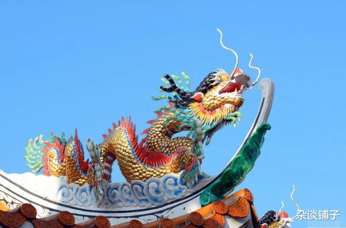 属龙男的情感和沟通标准