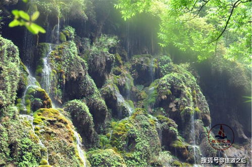 景区内部：花钱找罪受的巅峰之作