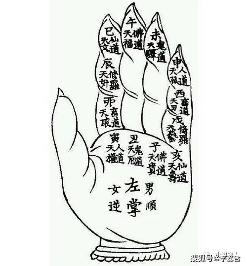 达摩一掌经如何根据八字进行计算？