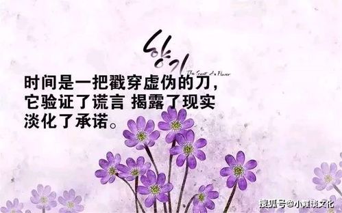 一、 那些触动心灵的文艺微信昵称