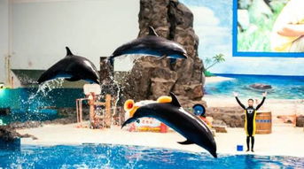 五一假期去哪儿浪？别挤了别挤了！