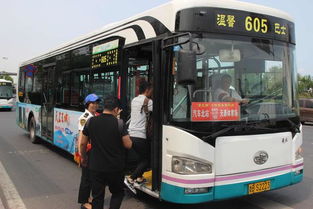 公交车？那绝对是首选！