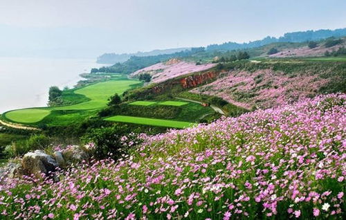 2. 西山森林公园——爬山不爬心里恐慌