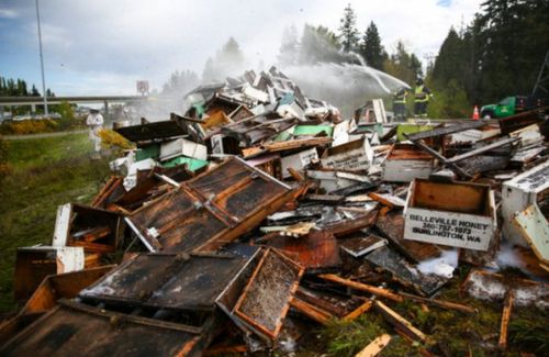 交通攻略大翻车！2026年水逆预警！