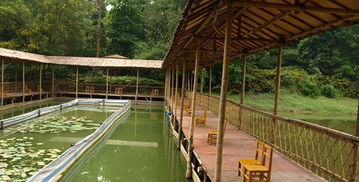 震惊！大夫山森林公园的