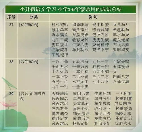 名字配方：把美良好寄托炼成药丸