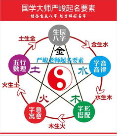 一、 N当前这个数字背后的故事：从微积分到网络流行
