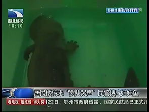 第一章：卯兔的惊魂时刻与五行缺木