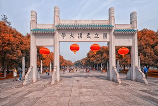 武汉大学樱花大道：粉色的噩梦