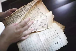 解析五行