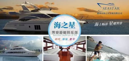 住宿体验：奢华与舒适的极致融合