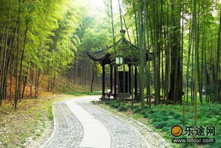 云栖竹径：至少凉快点