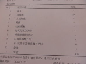 白带常规检查都包括哪些常见细菌的检测？——乱七八糟的“专业”导读