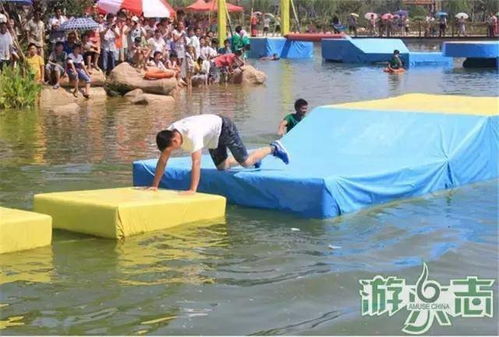 四、 游客好评如潮，服务优质