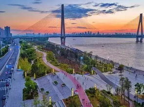 江滩公园：大型露天相亲现场